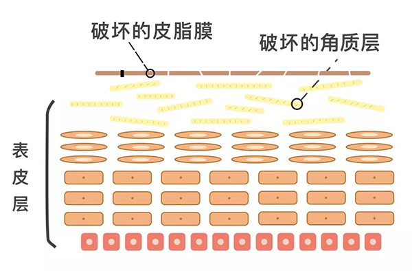 微信图片_20210414145954.jpg